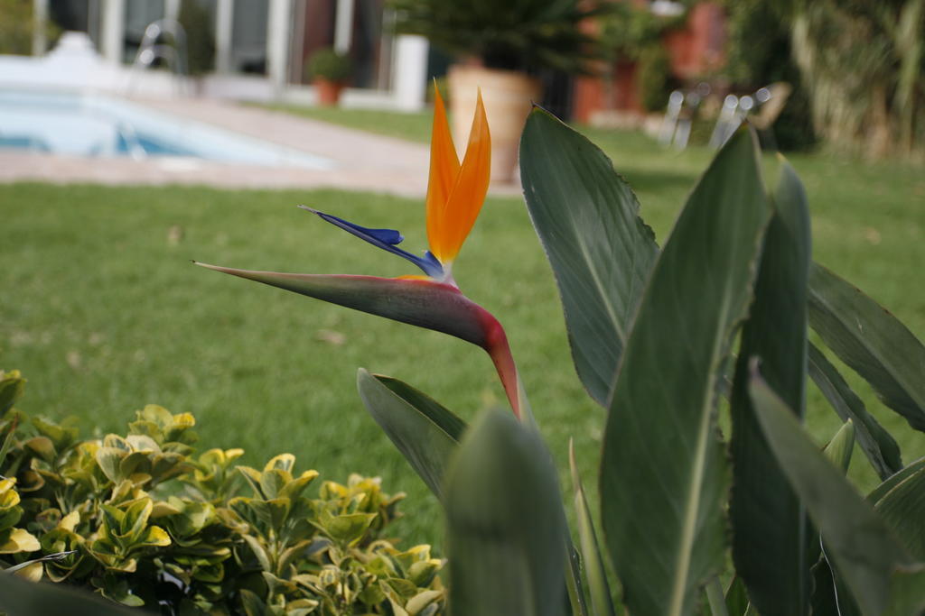 Hotel Oasis Cordoba Luaran gambar